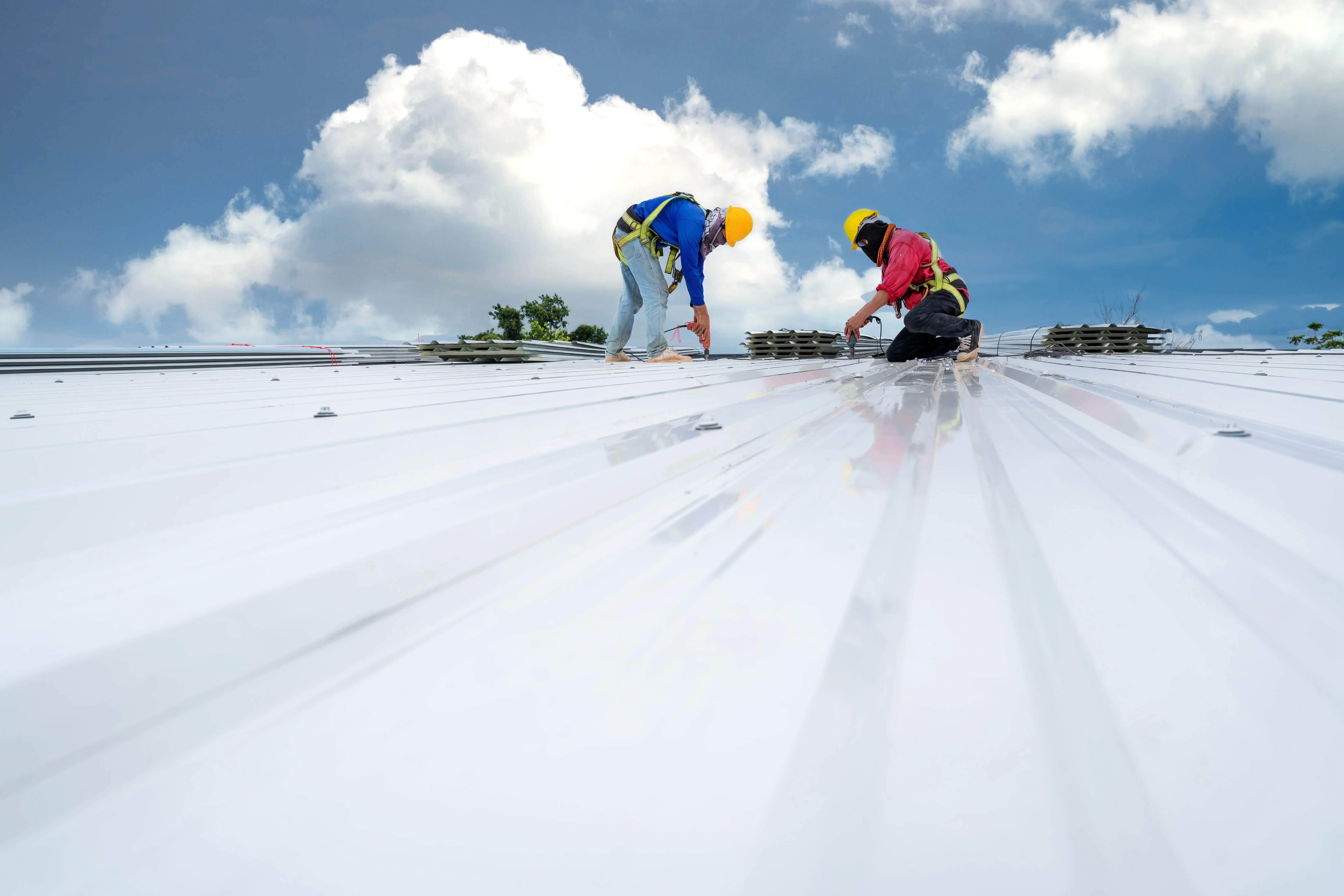 AdobeStock_524083533+(1) (1)